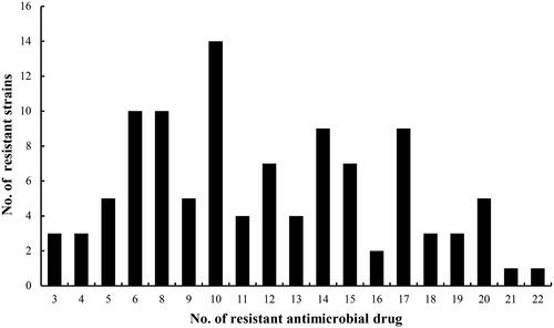 Figure 2. Antimicrobial resistant profile of E. coli isolates from CBM.
