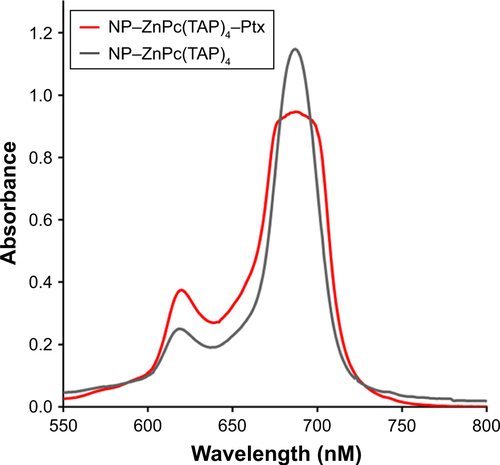 Figure S1 Ultraviolet–visible spectra of NP–ZnPc(TAP)4–Ptx and NP–ZnPc(TAP)4 (the concentration of ZnPc[TAP]4 was 5 µM) in PBS.Notes: This result showed that NP–ZnPc(TAP)4–Ptx and NP–ZnPc(TAP)4 had almost the same spectrum, while the spectrum was different from that of ZnPc(TAP)4 in PBS without HSA (Figure 1B). This suggested that ZnPc(TAP)4 interacted with HSA in the NPs.Abbreviations: NP, nanoparticle; ZnPc, zinc phthalocyanine; Ptx, paclitaxel; HSA, human serum albumin.