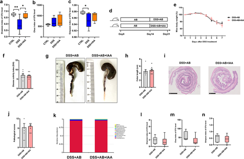 Figure 2. IAA alleviates DSS-induced colitis in mice through gut microbiome.