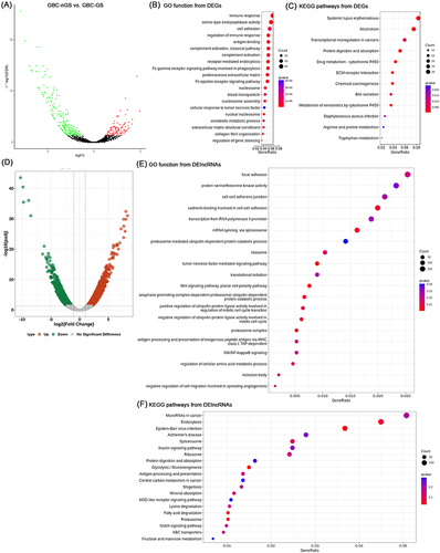 Figure 4 Differences in the lncRNA and mRNA expression profiles between GBC-nGS and GBC-GS tissues. (A) Volcano plot of the differential expression analysis of DEGs (fold change ≥ 2.0 and p < 0.05). The top 15 items of DEGs of GBC-GS were identified by (B) GO function enrichment and (C) KEGG enrichment. (D) Volcano plot of the differential expression analysis of DElncRNAs (fold change ≥ 2.0 and p < 0.05). The top 15 items of DElncRNAs of GBC-nGS were identified by (E) GO function enrichment and (F) KEGG enrichment.
