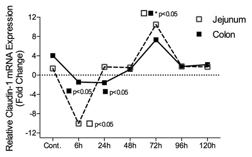 Figure 6. Claudin-1 mRNA expression in the jejunum and colon of irinotecan-treated DA rats. Irinotecan caused an −8.3-fold change in claudin-1 mRNA expression in the jejunum 6 h following irinotecan followed by a 9.8-fold increase at 72 h. A −1.8 and −2.5-fold change in claudin-1 mRNA expression was observed in the colon of irinotecan treated DA rats at 6 h and 24 h, respectively. The fold change in mRNA expression values were used to create the graphs. All data are relative to internal controls (untreated animals, n = 4) and a validated housekeeping gene (UBC). Relative mRNA expression was calculated using the Pfaffl method of relative quantification. A one-way analysis of variance with the Tukey post hoc was performed to determine significance. Data presented as median values (n = 39); ■□ P < 0.05 vs. control, ■□*P < 0.05 vs. 6 h.