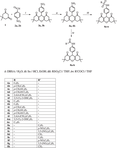Scheme 2.  Synthesis of xanthene sulfonamides 6a–n and xanthene carboxamides 8a–h.