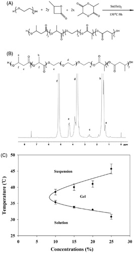 Figure 1. (A) Synthesis of PBLA-PEG-PBLA triblock copolymers. (B) 1H NMR spectrogram of PBLA-PEG-PBLA. (C) Phase diagrams of the PBLA-PEG-PBLA copolymer aqueous solutions.
