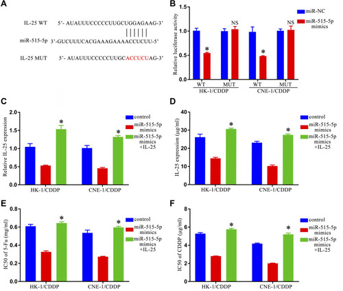 Figure 4 CircNRIP1 increases NPC cell resistance to 5-Fu and cisplatin by sequestering miR-515-5p and thereby promoting IL-25 expression. (A). The putative miR-515-5p binding site in the IL-25 gene and the mutated version of this site are shown. (B). MiR-515-5p mimic transfection markedly impaired WT but not MUT reporter activity. (C). The expression of IL-25 was assessed via qRT-PCR (C) and ELISA (D). 5-Fu (E) and CDDP (F) IC50 values were restored in CNE-1/CDDP and HK-1/CDDP cells transfected with miR-515-5p mimics following IL-25 transfection. NSp > 0.05, *p < 0.05.