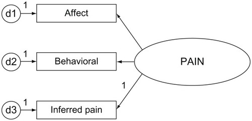 Figure 2 Pain construct.