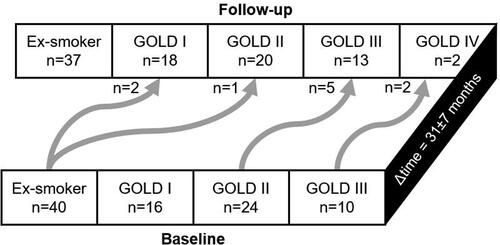 Figure 2. Arrows showing progression in severity at follow-up for all participants (n = 90), including ex-smokers without COPD (n = 40) and ex-smokers with COPD (n = 50) within GOLD grade severity subgroups. Of the 40 ex-smoker participants at baseline, two transitioned to GOLD I at follow-up and one transitioned to GOLD II. Of the 24 GOLD II participants, five transitioned to GOLD III. Of the 10 GOLD III participants, two transitioned to GOLD IV.