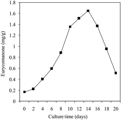 Figure 6. Time course of eurycomanone accumulation in E. longifolia cells.