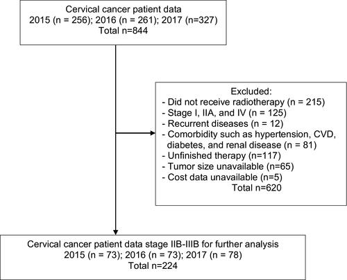 Figure 1 Patients’ data collection process.