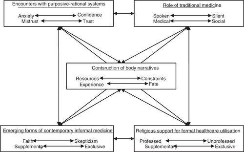 Fig. 2 Conceptual map of the lifeworld/healthworld schema.