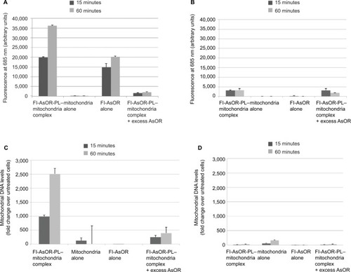 Figure 2 Uptake of Fl-AsOR-PL–mitochondria complexes by Huh7 and SK Hep1 cells, as measured by fluorescence and qPCR.