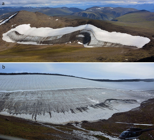 Figure 3. GLIP and LGLIP IPs 2016. (a) The 1-km-wide GLIP shows the multilayered glacier ice remnant and more recent seasonal snow deposits. The distinct layers of remnant glacier (darker area) ice in the central region of the IP with more recent seasonal snow (white carapace) above and below. Along the bottom ice margin, persistent seasonal snow that extends the functional margin was present at the end of the growing season. Central portions of the ice margin were defined by “old ice” (26 July 2016). (b) GLIP shows the upper and lower portions of the IP defined by season snow deposits. The central portion shows the “old ice” portion of the IP. The lower margin of the old ice shows the vertical lines (dark) that indicate sediment and dung melt out.