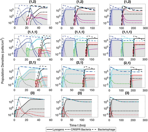 Figure A.6. Populations of bacteria with CRISPR/Cas systems (dash-dot lines), lysogens (solid lines) and phage (dash lines) during the constant phase therapeutic procedure. The simulation times are t=60 h (Ip=5 and Cp=15), 180 h (Ip=15 andCp=45) and 300 h (Ip=25 and Cp=75). The lysogens are inserted into the biofilm with up to three prophages either simultaneously or successively. The possible sequences of the number of prophages harboured in the lysogens are {1,2},{1,1,1},{2,1} and {3}, as described in the text.