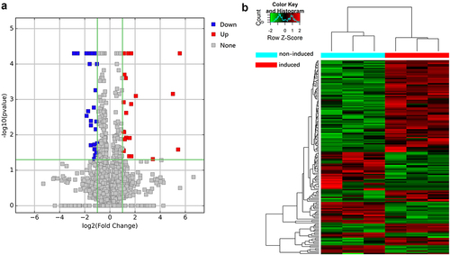 Figure 2. Volcano plot and heat map of differentially expressed lncRNAs. (a) Volcano plot of lncRNAs between hUCMSCs induced to undergo osteogenic differentiation (‘induced’) or not (‘non-induced’). Each point represents a lncRNA. (b) Clustered heatmap of lncRNAs differentially expressed between induced and non-induced cultures. Each column indicates one sample; each row, one lncRNA. The color from blue to red represents increasing expression from low to high. Values are the Z-scores of log2 (FPKM+1), where FPKM refers to fragments per kilobase of exon per million fragments mapped.