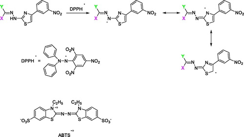 Scheme 2. The proposed mechanism for the antioxidant ability of compounds 1–37.