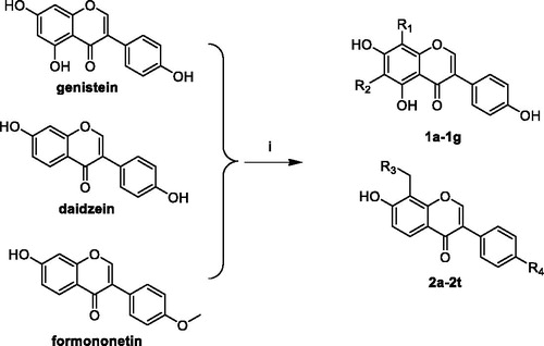 Scheme 1. Synthesis of compounds 1a–1g, 2a–2t. Reagents and conditions: (i) 37% formalin, aliphatic amines, 25 °C, 24 h.