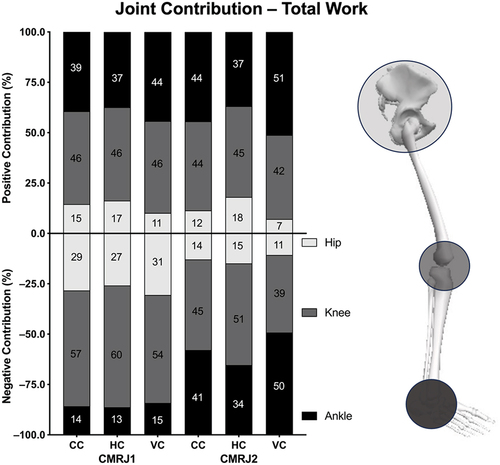 Figure 1. Bar graph of individual joint contribution to the total positive and negative works during CMRJ test under three cueing conditions. The positive values indicate the contribution to the total positive work. The negative values indicated the contribution to the total negative work. The percentage numbers on the graph were rounded.