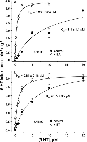 Figure 7.  Activation resulted from a decrease in KM. The rate of 5-HT transport by the Q111C mutant (A) or of the N112C mutant (B) before and after modification with MTSEA or MTSET, respectively, was determined over the indicated range of 5-HT concentrations using 20 nM [3H]5-HT plus added unlabeled 5-HT to achieve the indicated concentrations. The figure shows results of one experiment that was replicated at least twice with similar results. The Km value of the parental control stain X5C is 0.67±0.10.
