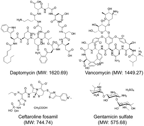 Figure 10. Comparison of antibiotic structures. Molecular structure and relative molecular weight of each antibiotic incorporated into our AuNC@PDA nanoconstructs is shown for comparison.