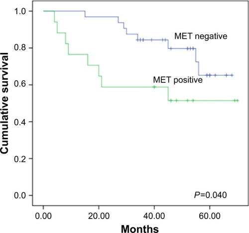 Figure 2 Kaplan–Meier survival analysis according to MET expression. Graph shows that survival time in patients with positive MET expression (n=17) was significantly lower than that in patients with negative MET expression (n=32, P=0.040).