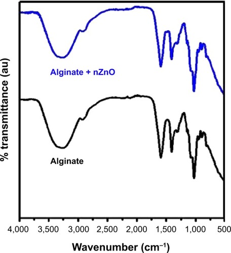 Figure 3 FTIR image of alginate control and alginate + nZnO bandages.Abbreviations: FTIR, Fourier transform infrared spectroscopy; nZnO, zinc oxide nanoparticles; au, arbitrary units.