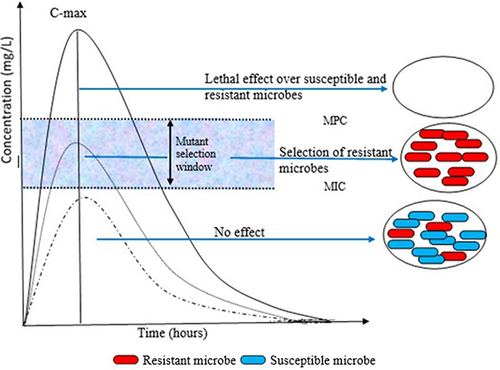 Figure 2 Mutant selection window (MSW) and mutant prevention concentration (MPC). Figure 2. illustrates that when the concentration of an antimicrobial is between the minimum inhibitory concentration (MIC) and the (MPC), there is a selection pressure that promotes the persistence of a population of resistant microbes. As the concentration exceeds the MPC, the selection of resistant mutants is unlikely, and the susceptible population is eradicated. Conversely, when the concentration is below the MIC, there is no effect on both the susceptible and resistant subpopulations.