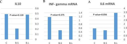 Figure 1. Effect of B. subtilis and B. licheniformis on the gene expression of IL6 (A), INF- gamma (B), and IL10 (C) in the blood plasma (n = 36) of broilers at 42 d of age. Each bar on the graph shows a treatment mean ± SEM.