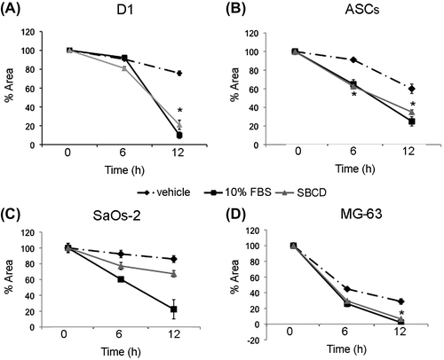 Fig. 3. Effect of SBCD on cell migration.Notes: Wound healing scratch test was performed at 6 and 12 h on D1, ASCs, SaOs-2, and MG-63 cells. Data are mean ± SD of three different experiments performed in triplicate. Three lines from different donors were used for ASCs. ANOVA with Dunnett’s comparison test was performed: * = p < 0.05 vs. vehicle.