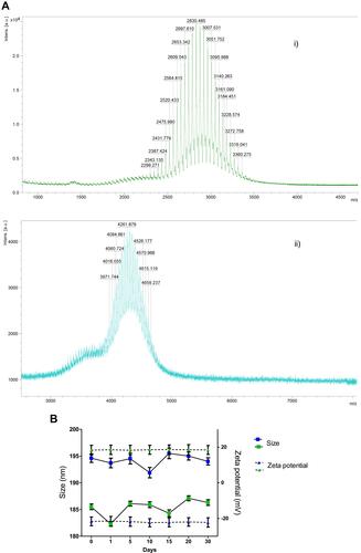 Figure 3 Coating nanosystems with triantennary N-acetylgalactosamine (GalNAc) cluster. (A) Successful synthesis of DSPE-PEG2000-GalNAc demonstrated by MALDI-TOF-MS analysis; Ai) DSPE-PEG2000; Aii) DSPE-PEG2000-GalNAc. (B) Stability and physicochemical characteristics, size and zeta potential, of HNP with (blue) and without (green) DSPE-PEG2000-GalNAc, over 30 days at room temperature.