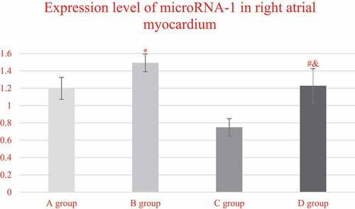 Figure 8. Comparison on the expression levels of miRNA-1 in the right atrium myocardial tissues of the patients from group A, C, and D