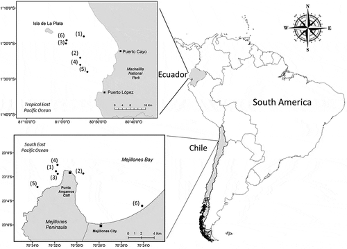 Figure 1. Map of Machalilla National Park in Ecuador and Mejillones Península in northern Chile showing the geographic positions (black dots) of humpback whales performing feeding behavior or defecation. Dates of observations in Ecuador: (1) 21 June 2005 (2) 11 July 2008 (3) 13 August 2008 (4) 15 July 2011 (5) 10 August 2016 (6) 13 August 2017. Dates of observations in Chile: (1) 10 March 2019 (2) 12 March 2019 (3) 16 March 2019 (4) 17 March 2019 (5) 23 March 2019 (6) 18 April 2020