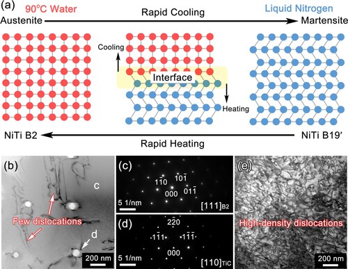 Figure 3. (a) Schematic diagram of artificial thermal cycling treatment conducted between 90°C water and liquid nitrogen; (b) TEM image of as-built NiTi alloys; SAED patters of (c) B2 matrix and (d) TiC phase; (e) TEM image of high-density dislocations in NiTi alloys after 50 times thermal cycling treatment.