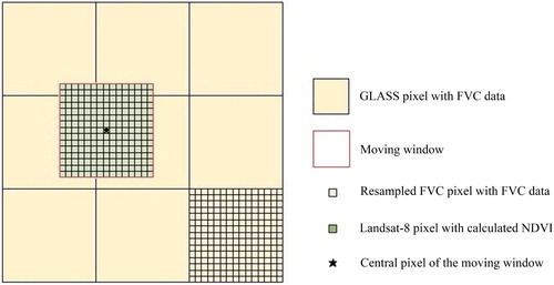 Figure 4. Diagram of the GLASS FVC decomposition approach, which allocates background FVC from GLASS FVC pixels to every Landsat 8 pixel based on its NDVI.