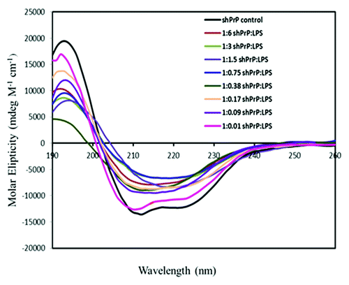 Figure 4. CD spectra for 25 μM of ShPrP (90–232) with various concentration (w/w ratios) of LPS (1:6 300 μM LPS, 1: 3–150 μM LPS, 1:1.5–75 μM LPS, 1:0.75–37.5 μM LPS, 1:0.38–18.5 μM LPS, 1:0.17–9.5 μM LPS, 1: 0.09–5 μM LPS, and 1:0.01–1 μM LPS). Spectra were collected immediately after adding LPS, except for the 1:0.01 w/w ratio of LPS with shPrP(90–232), which was incubated an additional 4 wk to ascertain any changes in secondary structure.