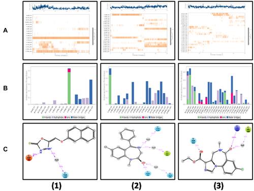 Figure 12 A timeline representation of the interactions and contacts (hydrogen bonds, hydrophobic, ionic, and water bridges) are displayed in (A1–A3). The top-panel displays the total count of the specific contacts of the protein with the ligand. The bottom-panel shows the interacting residues with the ligand. Some residues form more than one specific contact with the ligand, denoted by a darker-shade of Orange, according to the scale to the right of the plot. Protein interactions with the ligand are shown in (B1–B3). These interactions are categorized as hydrogen bonds, hydrophobic, ionic, and water bridges. Schematic detail of the ligand–atom interactions with the protein residues. Interactions that occurred more than 30% of the simulation time are shown in (C1–C3).