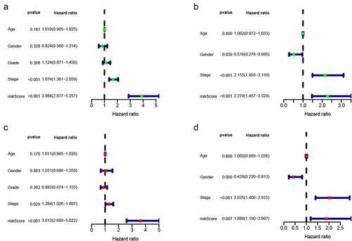 Figure 3. Univariate and multivariate analyses showed independently prognostic factors for OS of HCC in the two cohorts. (a) Univariate analyses in the training cohort; (b) Multivariate analyses in the training cohort; (c) Univariate analyses in the validation cohort; (d) Multivariate analyses in the validation cohort