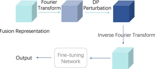 Figure 4. Fourier transform based LDP perturbation module.