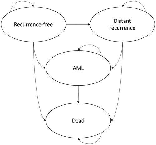 Figure 2. The long-term impact of distant recurrence of breast cancer and acute myeloid leukemia (AML) as a long-term adverse event of chemotherapy was extrapolated beyond the horizon of the clinical study using a Markov model with four mutually exclusive health states: “distant recurrence-free”, “distant recurrence”, “AML” and “dead”. It was assumed that 10.5% of patients entering the distant recurrence state previously experienced a local recurrence.