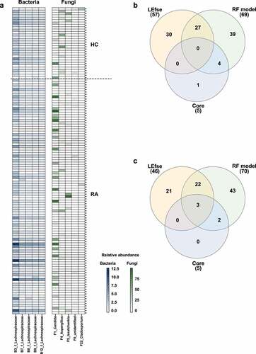 Figure 6. Analysis of core OTUs in fecal microbiota. (a) Core OTUs were identified based on 85% prevalence for bacteria (dark blue) and 70% prevalence for fungi (dark green). Box colors indicate relative abundances of OTUs. Greater color intensity indicates higher relative abundance. Each mark on the y-axis indicates an individual sample. Venn diagrams of the numbers of (b) bacterial and (c) fungal OTUs identified by LEfSe, the random forest model, and core out analysis.