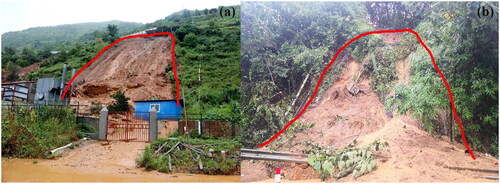 Figure 10. Photos of the rainfall-triggered landslides in the study area.