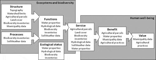 Figure 2. The source data types (see Table 1) allocated to the different steps of the ecosystem service cascade model (see Haines-Young & Potschin, Citation2010; Maes et al., Citation2012).