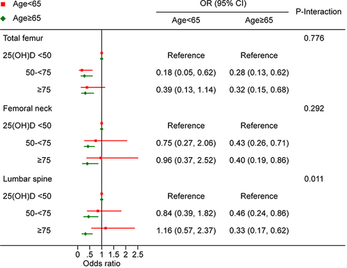 Figure 2 Forest plot of age-stratified analyses of the associations between serum 25(OH)D and osteoporosis. (Age, race, education level, family PIR, BMI, total calcium, serum phosphorus, smoking behavior, alcohol consumption, moderate activities, survey months, and years since menopause were adjusted).