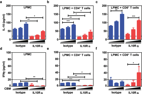 Figure 6. CBM588 heightened IL-10-mediated prevention of overproduction of interferon gamma by CD8+ T cells. Quantitative measurements of interleukin-10 in the supernatant from LPMCs from tumor bearers (a) and cocultures with either CD8+ T cells (b) or CD8+ T cells (c) upon or not blockade of IL-10 signaling. Quantitative measurements of interferon-gamma in the supernatant from LPMCs from tumor bearers (A) and cocultures between LPMCs (d) and CD4+ T cells (e) and CD8+ T cells (f) upon or not blockade of IL-10 signaling. As indicated in the figure 6, cocultures between LPMCs and CD4+ T cells or CD8+ T cells were treated with either heat-killed CBM588 (at multiplicity of infection of 0.1 or 1). Data are plotted as means ± SEM and p values were calculated using the Mann–Whitney U test. For (C) a two-way ANOVA is used. p < .05(*), p < .005(**), p < .0005(***).