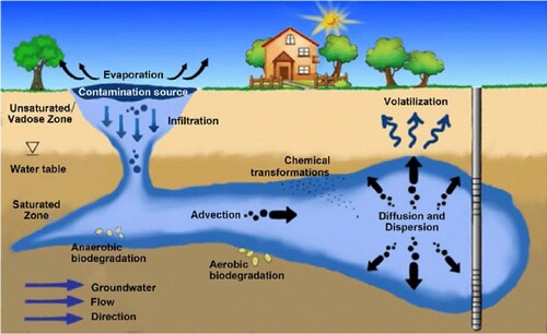 Figure 1. Main processes that occur in an aquifer. Obtained from [Citation3].