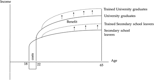 Figure 2. Impact of training on income.