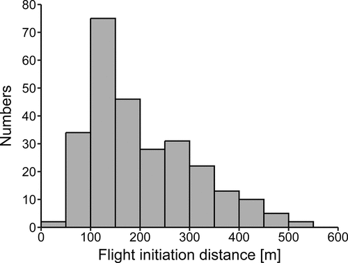 Figure 1. Data distribution of flight initiation distance (m) of Common Buzzards Buteo buteo.