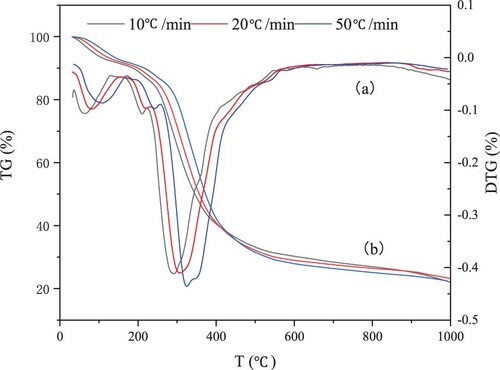 Figure 2. Effects of the heating rate on TG and DTG curves.
