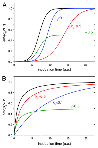 Figure 1. The inhibition of amyloid fibrillization as predicted by the CLM for (A) sigmoidal and (B) hyperbolic aggregation kinetics. Black curves represent the normalized fibril mass increase as a function of time calculated using EquationEquations 2(2) ΔmΔmT=1−1kb[exp(kat)−1]+1(2) and Equation3(3) ΔmT=σ0VC∗γ(3) , and using reference values of parameters ka, kb and γ: in (A) ka = 1 (units of time)–1, kb = 1 × 10–3 and γ = 1, and in (B) ka = 0.1 (units of time)–1, kb = 10 and γ = 1. Blue and red curves represent the inhibition of the nucleation and growth steps, respectively; green curves represent the apparent inhibition that results from changing the solution activity of the protein. The variation of parameters ka, kb and γ relatively to the reference values is indicated by the text next to the curves.