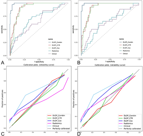 Figure 2 Performance of different survival prediction models. Time-dependent receiver operating curves under the area for 3-year survival of patients (A) training cohort (B) validation cohort. Calibration curves of the model (C) training cohort (D) validation cohort.
