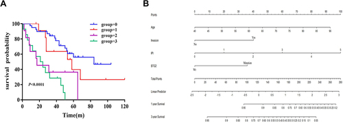 Figure 7 Establishment of a prognostic model. (A) Overall survival of BTG2 mutation combined with IPI score (0, BTG2 wild type and IPI<3; 1, BTG2 mutation and IPI<3; 2, BTG2 wild type and IPI≥3; 3, BTG2 mutation and IPI≥3). The dashed line indicates the median. (B) A nomogram was developed based on the results of multivariate Cox proportional hazards analysis to predict the 1-year and 3-year overall recurrence.