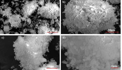 Figure 10. SEM Micrographs of 2x silver substituted samples after simulated body fluid immersion. after 7 days of immersion